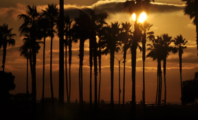sunset over Belmont Park